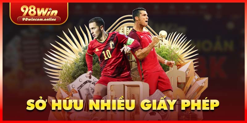 Cái loại giấy phép hoạt động mà nhà cái sở hữu